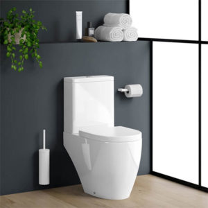 Close Coupled Toilet